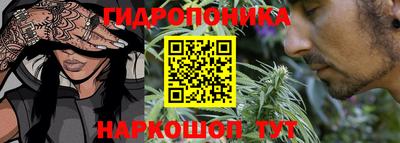 гашик Можга