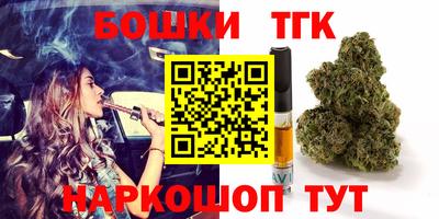 стаф Моздок