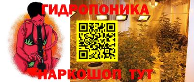 гашик Можга