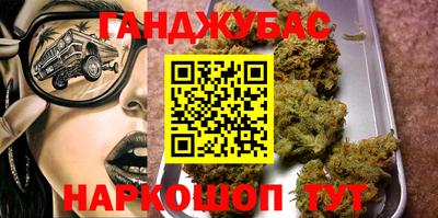гашик Можга