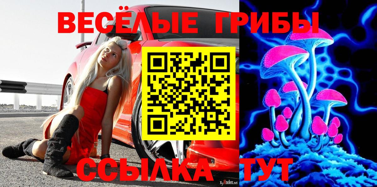 Галлюциногенные грибы Magic Shrooms  Вход с VPN  Гурьевск 
