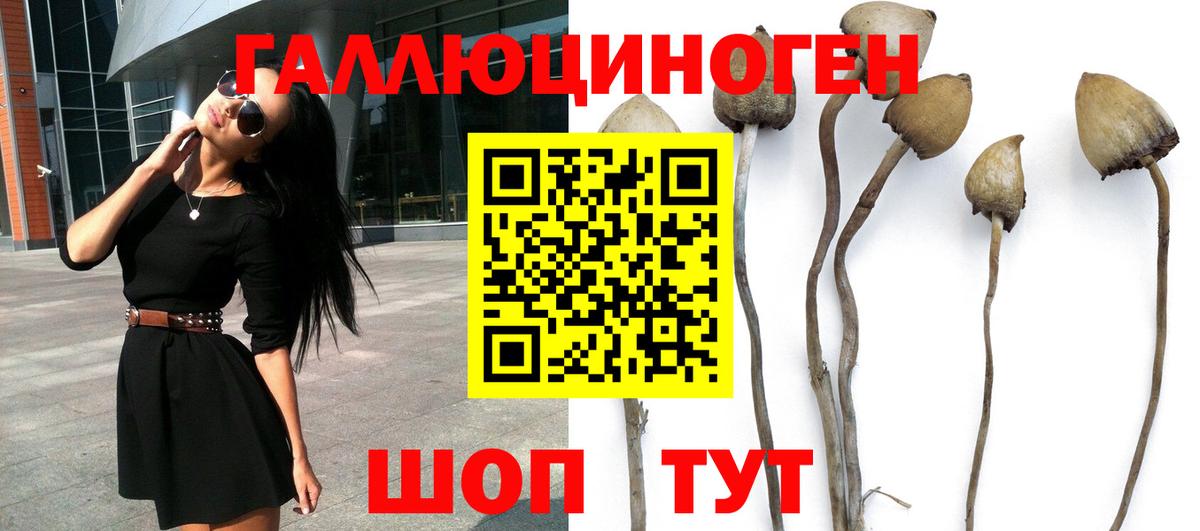 Псилоцибиновые грибы MAGIC MUSHROOMS Гурьевск